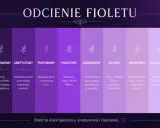 Paleta odcieni fioletu: śliwkowy, bakłażanowy, ametystowy, purpurowy, fioletowy, lawendowy, liliowy, wrzosowy, jasnofioletowy, lawendowy mgiełkowy.