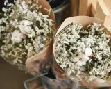 Dwa bukiety gipsówki w wazonach, ozdobione bawełną, tworzą delikatną kompozycję.
