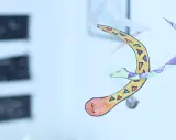 Kolorowy, ręcznie rysowany wąż nieskończoności wiruje w powietrzu, ozdobiony geometrycznymi wzorami.