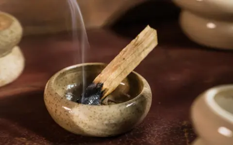 Dymiący patyczek palo santo w ceramicznej miseczce. Zastanawiasz się, palo santo co to? To święte drzewo używane do oczyszczania przestrzeni.