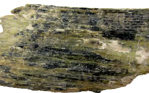 Szarozielony, włóknisty minerał z czarnymi wtrąceniami, przykład rzadkich minerałów.