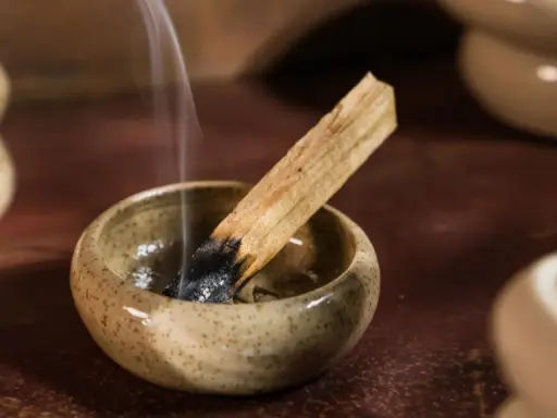 Dymiący patyczek palo santo w ceramicznej miseczce. Zastanawiasz się, palo santo co to? To święte drzewo używane do oczyszczania przestrzeni.