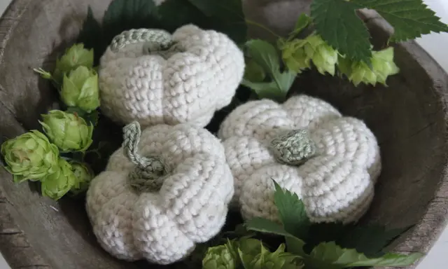 Trzy urocze, kremowe dynie na szydełku w drewnianej misie, ozdobione zielonymi chmielinami.